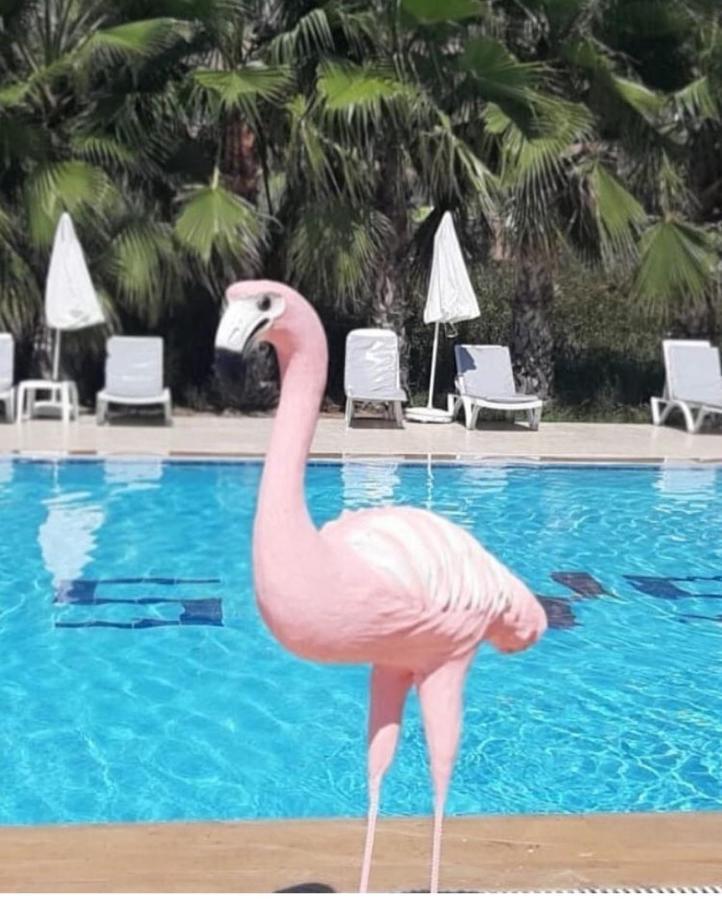 Skys Beach Hotel 마나브가트 외부 사진