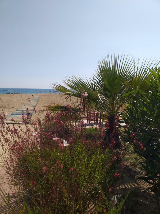 Skys Beach Hotel 마나브가트 외부 사진